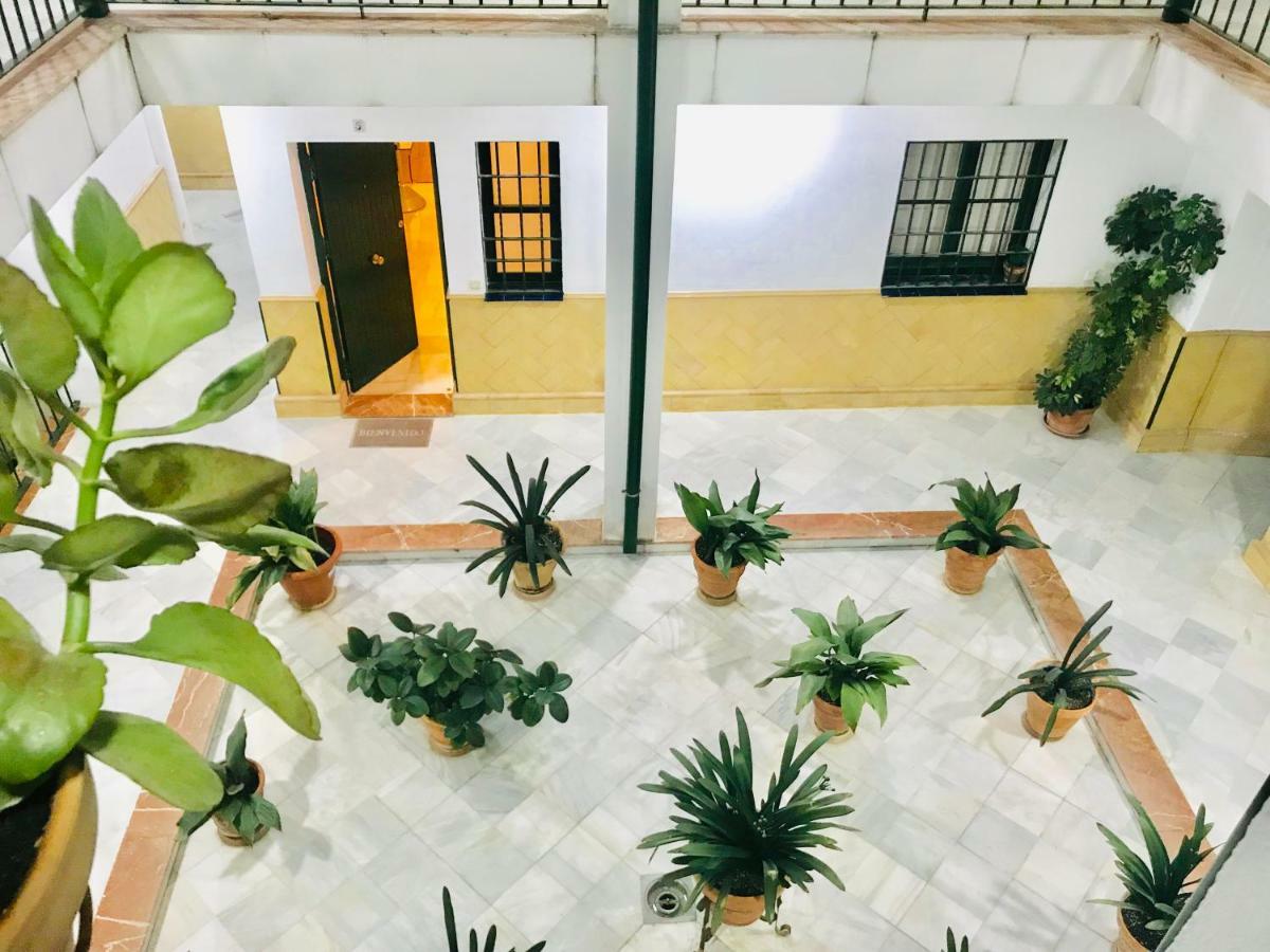 Los Patios De La Juderia إشبيلية المظهر الخارجي الصورة